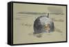 Don't Forget the Diver-Paul Nash-Framed Stretched Canvas