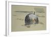 Don't Forget the Diver-Paul Nash-Framed Giclee Print