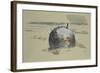 Don't Forget the Diver-Paul Nash-Framed Giclee Print