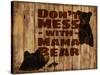 Don’t Mess with Mama Bear-null-Stretched Canvas