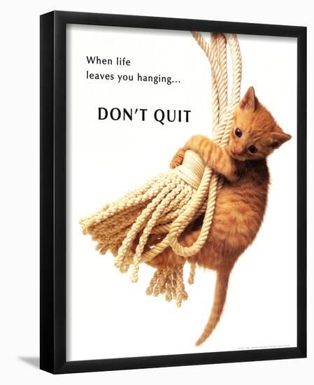 Don't Quit Kitten on Rope-null-Framed Mini Poster