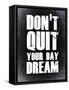 Don't Quit Your Day Dream 2-NaxArt-Framed Stretched Canvas