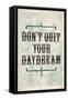 Don't Quit Your Daydream-null-Framed Stretched Canvas