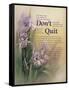 Don't Quit-unknown Chiu-Framed Stretched Canvas