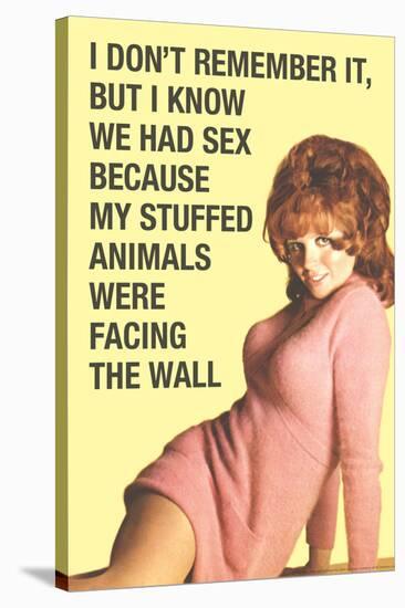 Don't Remember Sex But Stuff Animals Facing Wall Funny Poster-Ephemera-Stretched Canvas