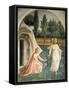 Don't Touch Me, 1438-1440-null-Framed Stretched Canvas