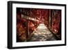 Don't Walk Away-Philippe Sainte-Laudy-Framed Photographic Print