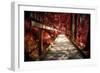 Don't Walk Away-Philippe Sainte-Laudy-Framed Photographic Print