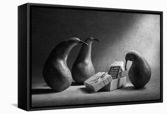 Don't You Like Our Present?!-Victoria Ivanova-Framed Stretched Canvas