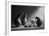 Don't You Like Our Present?!-Victoria Ivanova-Framed Photographic Print