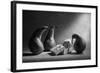 Don't You Like Our Present?!-Victoria Ivanova-Framed Photographic Print