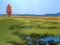 Country Drive-Don Tiller-Giclee Print
