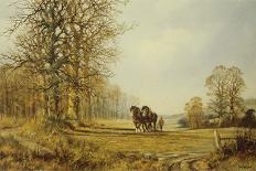 Autumn Ploughing-Don Vaughan-Stretched Canvas