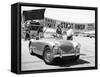 Donald Healey with an Austin Healey at a Motor Race-null-Framed Stretched Canvas