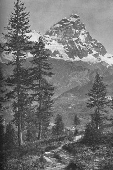 Photographic Print, , large