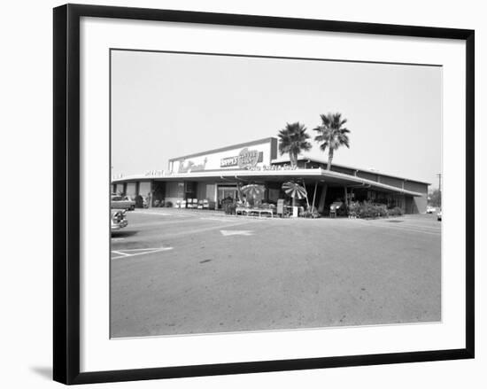 Donald Nixon Properties-Grey Villet-Framed Photographic Print