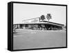 Donald Nixon Properties-Grey Villet-Framed Stretched Canvas