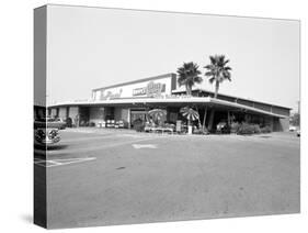 Donald Nixon Properties-Grey Villet-Stretched Canvas