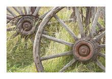 Wagon Wheels-Donald Paulson-Giclee Print