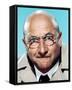 Donald Pleasence-null-Framed Stretched Canvas