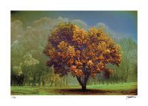 Autumn River 2-Donald Satterlee-Framed Giclee Print