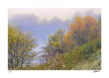 Morning Mist-Donald Satterlee-Framed Giclee Print
