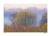 Autumn River 2-Donald Satterlee-Limited Edition