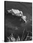 Donald, the Dog-Loving Duck, Hates Water But Takes a Ride on the Back of His Swimming Pal Rusty-Loomis Dean-Stretched Canvas