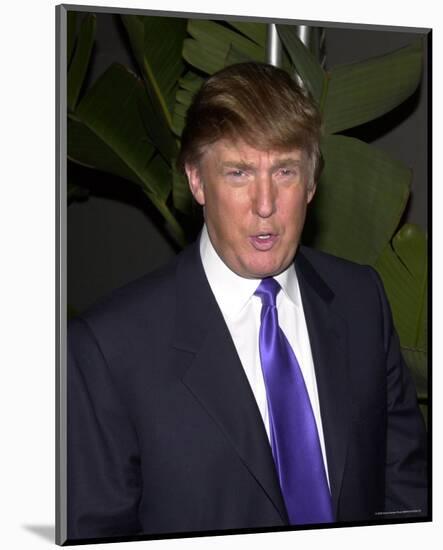 Donald Trump-null-Mounted Photo