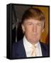 Donald Trump-null-Framed Stretched Canvas