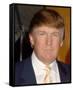 Donald Trump-null-Framed Stretched Canvas