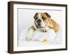 Donald-Rachael Hale-Framed Premium Photographic Print