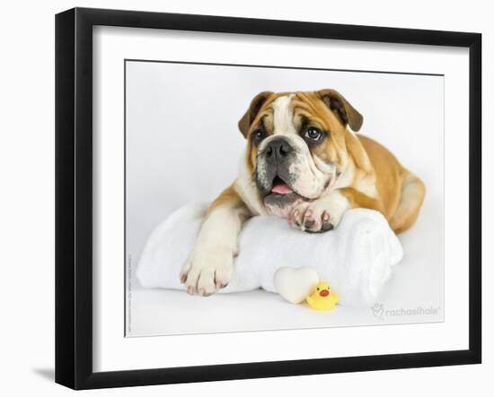 Donald-Rachael Hale-Framed Premium Photographic Print