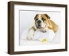 Donald-Rachael Hale-Framed Photographic Print