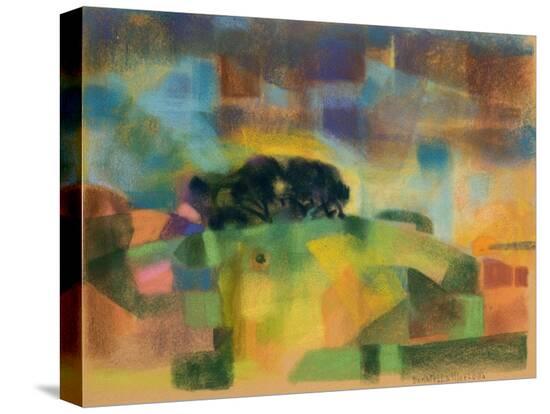 Stretched Canvas Print, , large