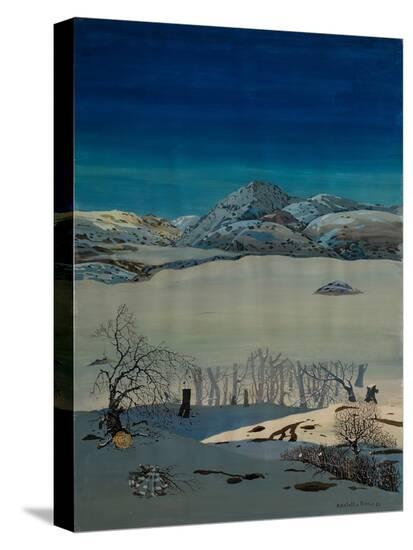 Stretched Canvas Print, , large