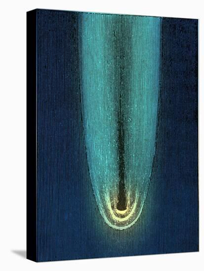 Donati's Comet of 1858-Detlev Van Ravenswaay-Stretched Canvas