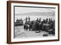 Brown Frame