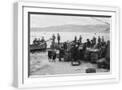 White Frame