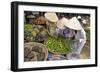 Dong Ba Market, Hue, Vietnam, Indochina, Southeast Asia, Asia-Bruno Morandi-Framed Photographic Print