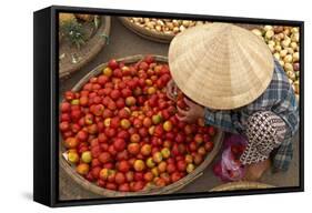 Dong Ba Market, Hue, Vietnam, Indochina, Southeast Asia, Asia-Bruno Morandi-Framed Stretched Canvas