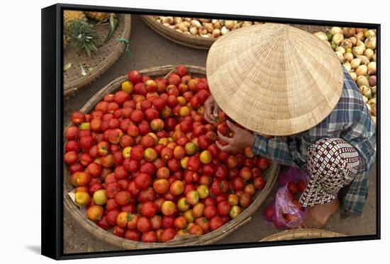 Dong Ba Market, Hue, Vietnam, Indochina, Southeast Asia, Asia-Bruno Morandi-Framed Stretched Canvas