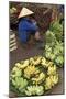 Dong Ba Market, Hue, Vietnam, Indochina, Southeast Asia, Asia-Bruno Morandi-Mounted Photographic Print