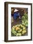 Dong Ba Market, Hue, Vietnam, Indochina, Southeast Asia, Asia-Bruno Morandi-Framed Photographic Print