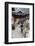 Dong Village of Zhaoxing, Guizhou Province, China, Asia-Bruno Morandi-Framed Photographic Print