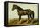 Dongola Horse-Samuel Sidney-Framed Stretched Canvas