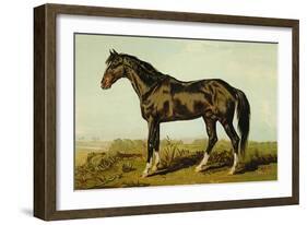 Dongola Horse-Samuel Sidney-Framed Art Print