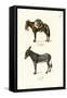Donkey, 1824-Karl Joseph Brodtmann-Framed Stretched Canvas