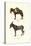 Donkey, 1824-Karl Joseph Brodtmann-Stretched Canvas