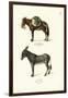 Donkey, 1824-Karl Joseph Brodtmann-Framed Premium Giclee Print